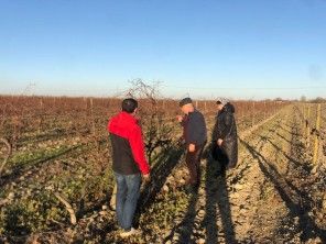 G100e33197fd7353bf8670f776582744c