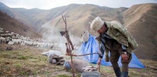 Дагестан вступится за горы России