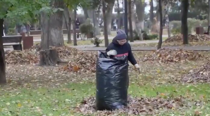 photo_2025-11-20 15.06.13