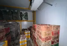 В Дагестане вынесли приговор предпринимательнице за хранение нелегальной рыбы на 2,7 млн рублей