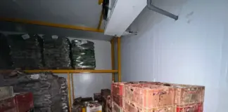 В Дагестане вынесли приговор предпринимательнице за хранение нелегальной рыбы на 2,7 млн рублей