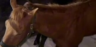 Итоги рейда