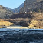 photo_2026-02-06 10.53.41