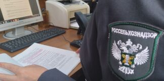 Россельхознадзор в Дагестане прекратил действие декларации о соответствии на молочную продукцию