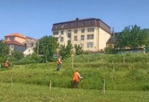 В Махачкале проводятся плановые работы по окосу сорной растительности