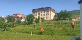 В Махачкале проводятся плановые работы по окосу сорной растительности