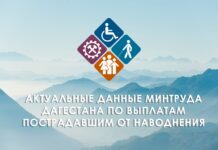 Более 22,6 тысяч выплат получили пострадавшие в зонах ЧС жители Дагестана