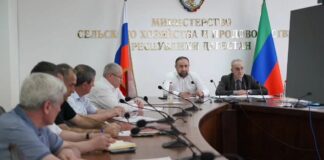 В Дагестане обсудили реализацию нацпроектов и меры государственной поддержки аграриев