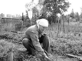 201f00b837ae32b77f16ebc30738e7ca