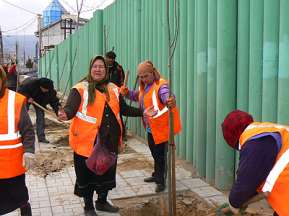 8b6c2ff8f5f12ebab4d2a083922970a2