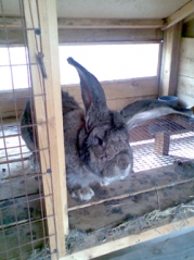 97c9e18db5a5ff5c45858ab5c1eb7c2a