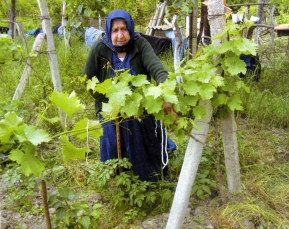 98791889a75176ac077531cfbad40992