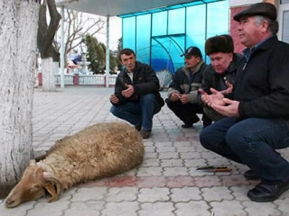 Праздник жертвоприношения. На этот раз без противоречий