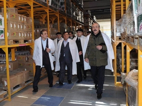 3cf013c9029e0d8849408b6a75199510