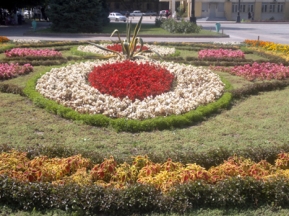 668cab384de9e2a18efd78316e8a006a