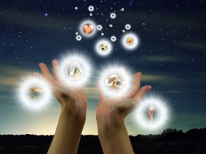 9c41f3df532d540fc31fb76287338821