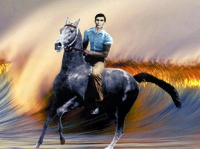 1ad894559632a0ec1de005d95974ae23