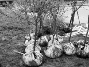 18b995e76ad85c021a9f59490863e051