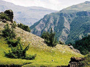 0460554895e1278b188dab208fff6bbe