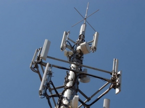 Сплошная аллергия?