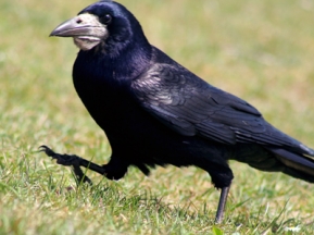 447b81ba8040178ce60f162eb257eed9