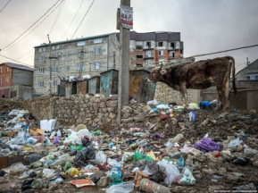 Варламова на вас нет!