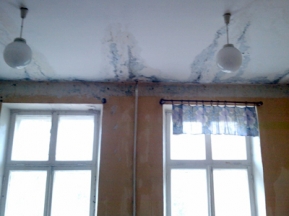 fe49b5eedcca5c95011dd76189ba3a0b