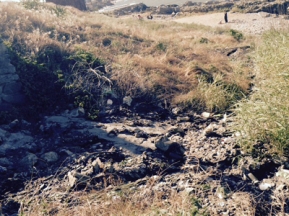 a3c43e8fd579721e058204da02e9d3f0