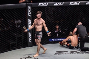 cd88d88484b6ef3368f7bc070b99683b