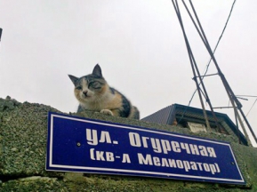 8a97fcbd48a4f8788ac4b1a234253f83