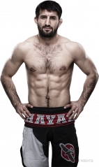 a281e80efb2297ca86ad8bbca66dcb6c