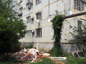 b24ba6736ba6780b1daeed4a54a56446