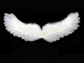 1d6e0c879a5b1c7ec283a5d28b3e8b92