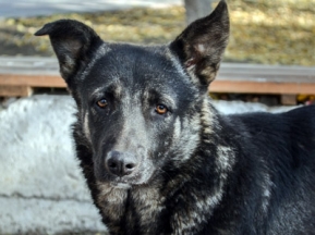 d9b832c42c43634cea411f2678cbea5e