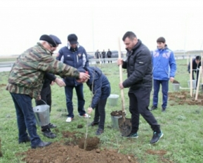 ba27d0dfa2f78b6dba2a4f809b25f0ee