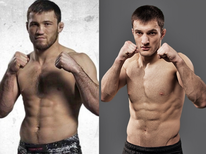 2230f19d82bcd37f9f94c7412d00bde5