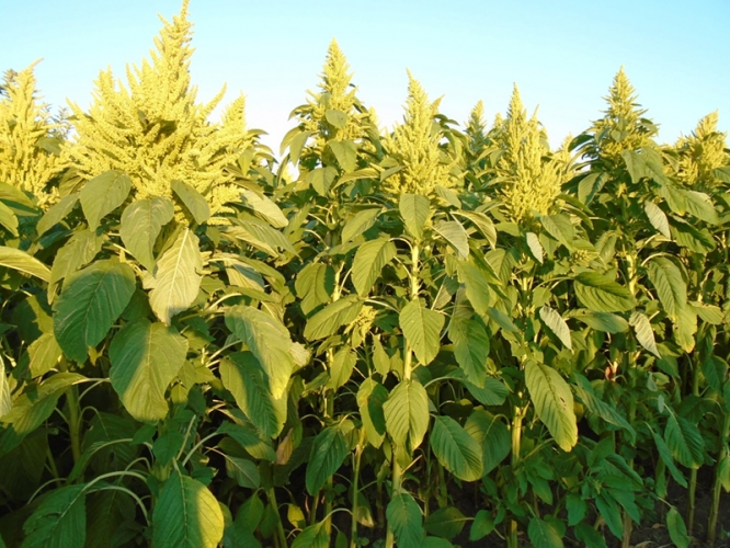 28741438a47544fee5c98967d5977119