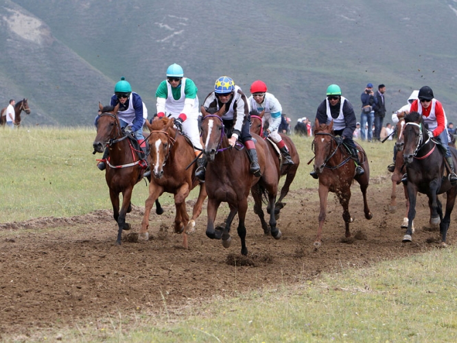 2828f2972cd3c401e5fd1bdc8ded9c8a