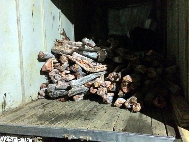 a8bbc1548693b19cbed3866aae7edd8d