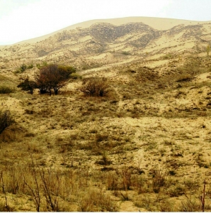 0a9aabe93673dedefa5a32f382f524e6