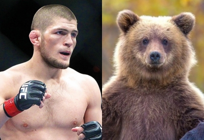 c8f8d87851889602937b67ce96aa34a4