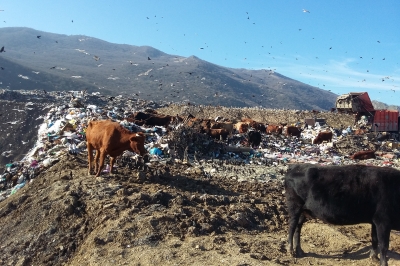 497f85f3c9a6b7a33a51c1069b35a052