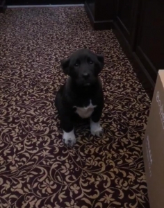 583309a2a22702eac544fa088adf4fbc