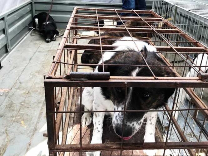 1ea3a7b855ddb0d4b41faa7b564be015