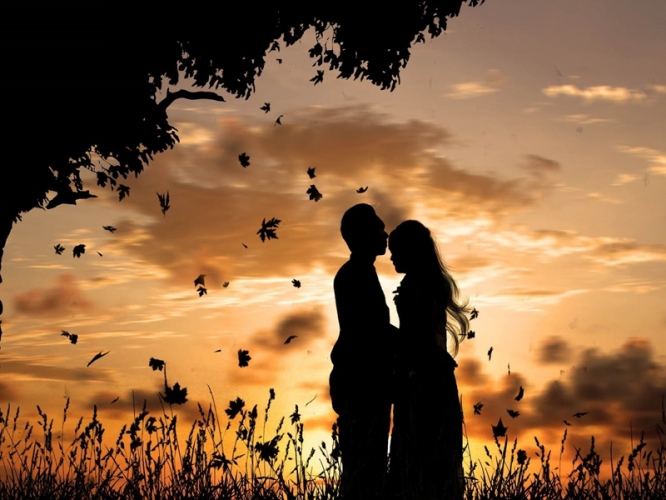 d22dbc9196985355f5bdef52af5c52bc