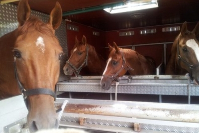 4833d6884c9c0a09271df93d03e39774