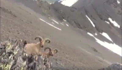 a2a23319e51e18622d4dcfd69c8366b7