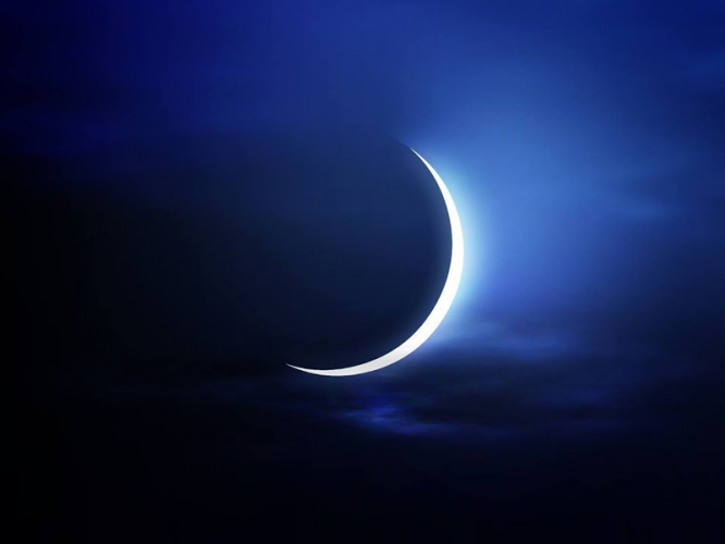 81afcf5a3db17848c626ed1c1cd531d9