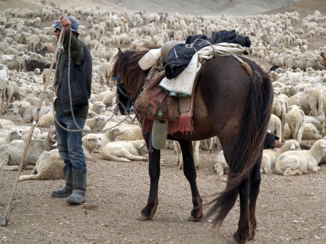 3f5ceb4c987f8f982ae8c18079e303b0