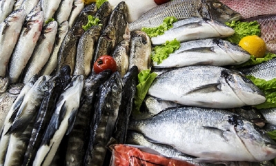 dc11cb391453c5838f2d5c7cee190cc1